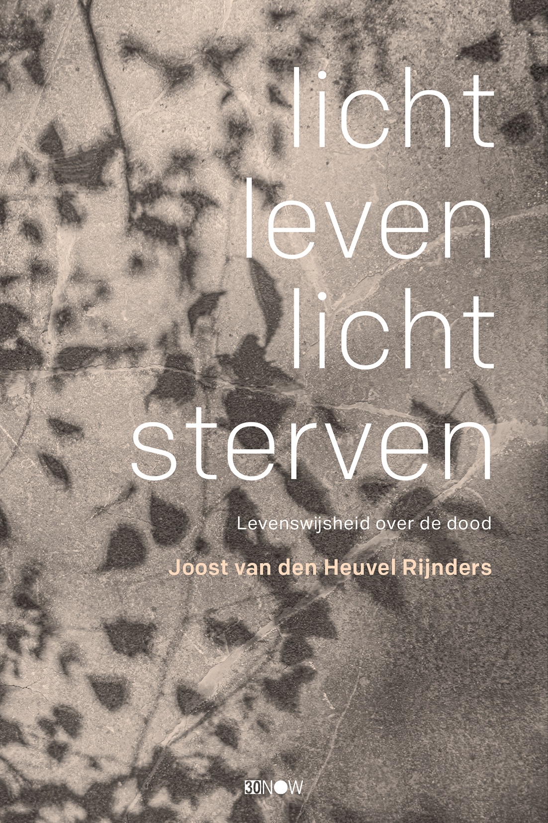 2D ONLINE LICHT LEVEN LICHT STERVEN